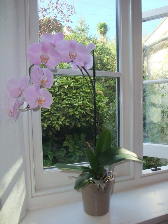 The Fernery B&B Lynton Chambre photo
